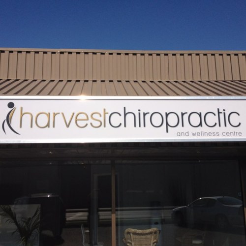 harvestchiro's profile picture. 