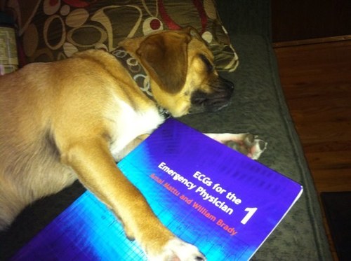 esfossum's profile picture. 