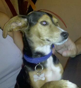 MagriElian's profile picture. Libertario, Estudiante de Ingeniería UBA, Inspector de obras de vías Grupo Roggio