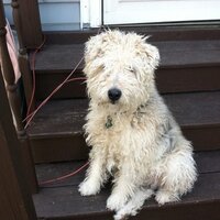 steven snyder (@stevensnyder20) 's Twitter Profile