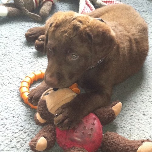 CollinsT88's profile picture. 