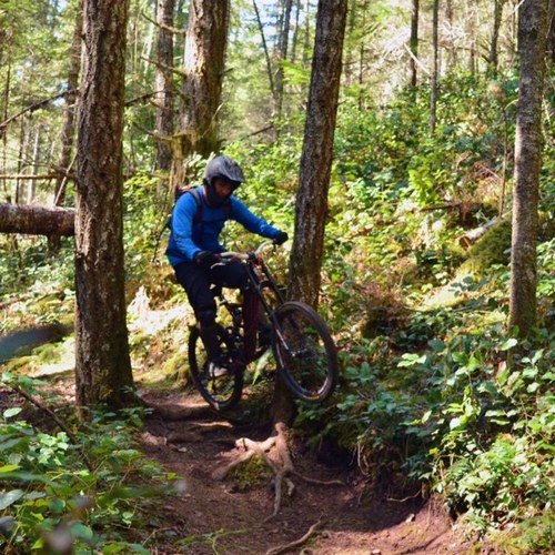 jbrewski87's profile picture. 