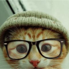 denwanai's profile picture. Knowing, unknowing, reknowing.