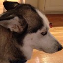 nate campbell - @1natehundred - Twitter