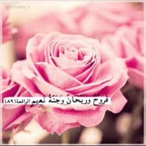 كُلُّ مَنْ عَلَيْهَا فانٍ . وَيَبْقَى وَجْهُ رَبِّكَ ذُو الْجَلالِ وَالإكْرَامِ