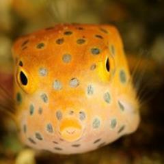 ３児母ちゃんがネットで毎月収入を得れるようになった、全貌を暴露!!毎月の赤字生活を変えたくて飛び込んだネットの世界☆稼げなかった人から、稼げる自分に変われた!!出会いは必然だぁ(●´ω｀●)ゞ