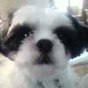 Becky Storey Hunder - @BSHFive - Twitter