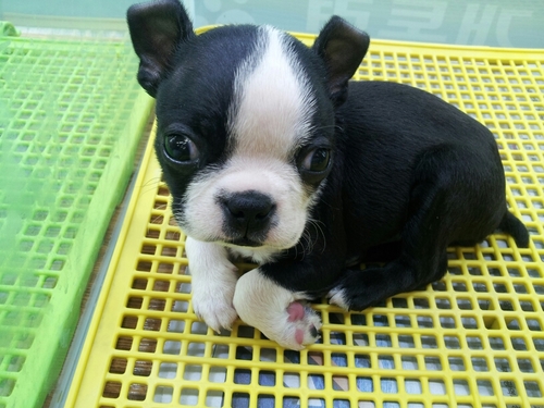 qazplm4580's profile picture. 