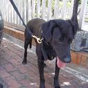 sergio rua zapata  - @ruazapata - Twitter