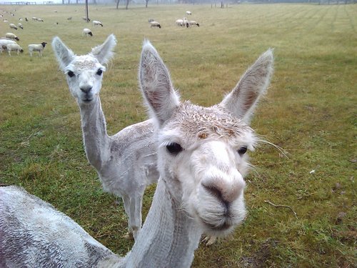 MaxMinchin's profile picture. Just your average Jo(sephine)