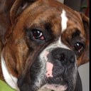 Christopher Morrison - @ChrisMo8 - Twitter