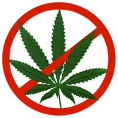 Gedoogbeleid ombouwen naar Ontmoedingsbeleid, om te beginnen door de geldkraan naar de softdrugsbendes dicht te draaien. Stop subsidiëring softdrugsbendes.
