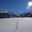 Jonathan Buisson - @BuissonJonathan - Twitter