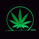 William Clearwater - @SpyderRyder01 - Twitter