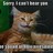 ljx2131's profile image