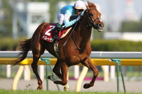 競馬大好きの駅員です！ネットビジネスの勉強もしてます。好きな馬はペルーサです。よろしくお願いします！ ブログもやっているので気軽に絡んでください！

あと、ビジネスの宣伝もしますので声かけてください(^^)