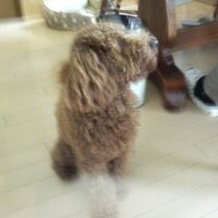 tomofuru (@tomonari4311) Twitter profile photo