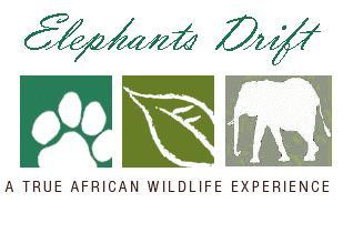 ElephantsDrift's profile picture. Affordable adventures in the Kruger National Park. Walking safaris, lodge accommodation, game drives - an authentically African wildlife experience awaits!