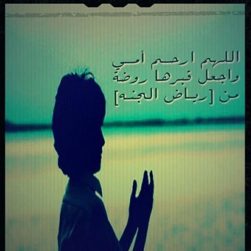 fooz201212's profile picture. 