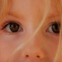 kidzwijs's profile picture. KidZwijs-onderwijs: lees- en spellingbegeleiding, trainingen mindmappen, begeleiding aan hoogsensitieve kinderen en hun ouders.