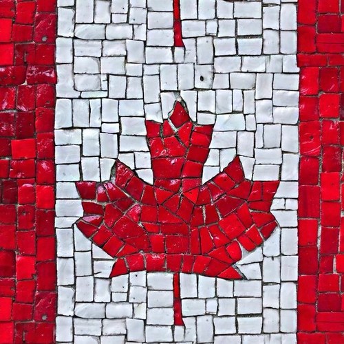 iamloserlikeyou's profile picture. 