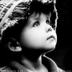 phoenix1203's profile picture. 