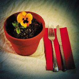 The multisensory dining adventure! **** (The Scotsman) Interactive dream-like dining with storytelling, live music, ritual and imaginative food.