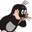 AliRus2008's profile image
