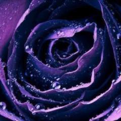 alyciawiggins's profile picture. SAHM of 2 boys, 7 cats & 2 dogs. I love reading vampire & historical romance books! I pass along any free e-book links that I can!