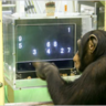 cherepanov74's profile picture. Malware researcher at ESET Slovakia. Opinions are my own.