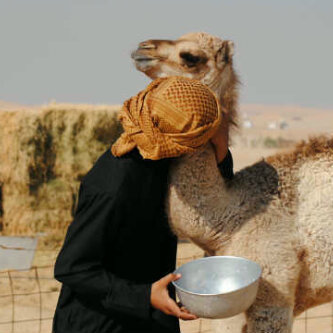 متـذوق للشــعر