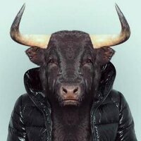 Öküz Herif (@okuz_herif) 's Twitter Profile Photo