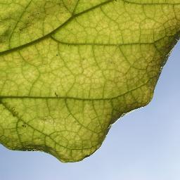 getrouwd met René, moeder van Nannie, Marieke, Marijn en Floortje, freelance journalist voor Fruitteelt