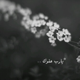 بنت ذآآك ألأمييير ..