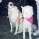 Janet Machen - @JanetMachen - Twitter