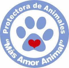 Protectora de Animales Mas amor animal lujan, rescatamos , curamos y entregamos en adopcion , perros de la calle, lastimados, heridos y abandonados! SUMATE!