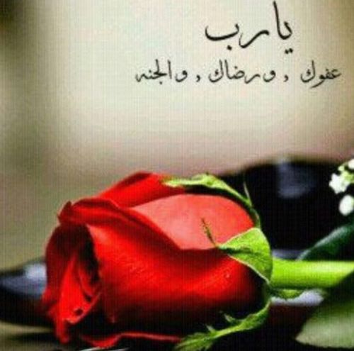 هنا أعظم ماقيل وماقد يقال. . هنا سكينة النفس وراحتها. . هنا ذكر الله جل جلاله.. نغرد بها لكم لتسكن قلوبكم فتهدوننا أروع دعوات. . مع إخلاصنابنات ثالث علمي..