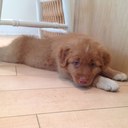 janet downes - @jbdmsw - Twitter