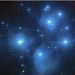 lifehackings's profile picture. 