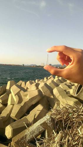 PCaribban's profile picture. 専門学生/// ばれーするょ YUIとか少女時代とかGReeeeN←好き///ｗ ←みんなふぉろーふぉろー