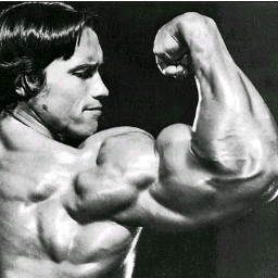 Consejos, rutinas y hábitos de gym, entrenamientos, alimentación, suplementos,... 

// Con esfuerzo todo se consigue. //




 BLOG: