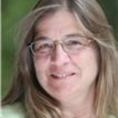 lrbroccolo's profile picture. 