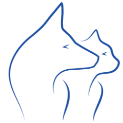 AlphaPet_Vet's profile picture. Veterinary practice serving the Chichester and Bognor Regis areas offering Exceptional Care For The Life Of Your Pet