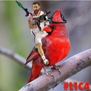 Dan Branham - @BranhamDanny - Twitter