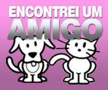 cães e gatos para adoção
