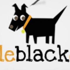 We are a small, friendly design company offering web design and graphic design for start-up and small businesses, or anyone needing a good looking website.