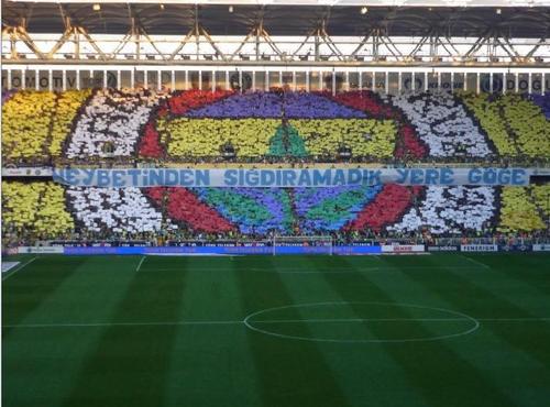 fenerli172's profile picture. 