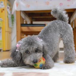 ong268's profile picture. Love, Peace and Harmony