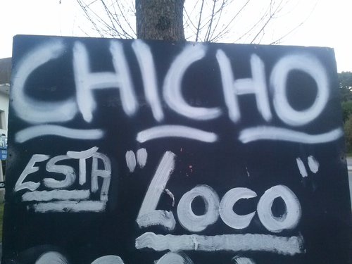 decimechicho's profile picture. 