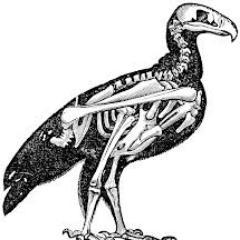 EstherWertwijn's profile picture. 